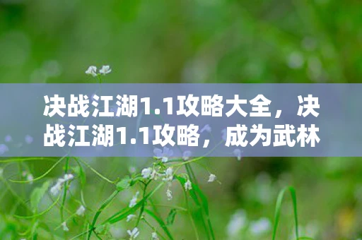 决战江湖1.1攻略大全，决战江湖1.1攻略，成为武林霸主的秘密