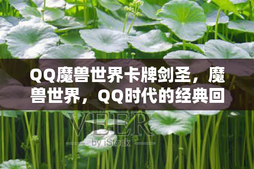QQ魔兽世界卡牌剑圣，魔兽世界，QQ时代的经典回忆