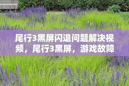 尾行3黑屏闪退问题解决视频，尾行3黑屏，游戏故障还是恶意攻击？