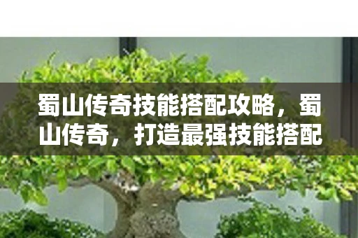 蜀山传奇技能搭配攻略，蜀山传奇，打造最强技能搭配，助你称霸蜀山