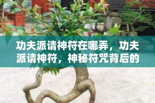 功夫派请神符在哪弄，功夫派请神符，神秘符咒背后的传奇故事