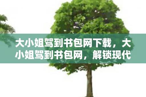 大小姐驾到书包网下载，大小姐驾到书包网，解锁现代都市女性的独立与魅力