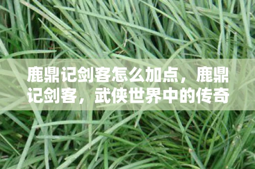 鹿鼎记剑客怎么加点，鹿鼎记剑客，武侠世界中的传奇人物