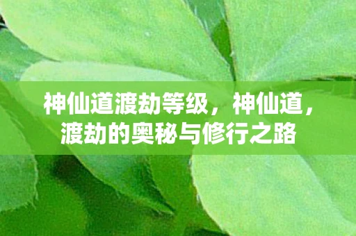 神仙道渡劫等级，神仙道，渡劫的奥秘与修行之路