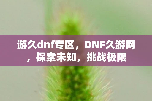 游久dnf专区，DNF久游网，探索未知，挑战极限