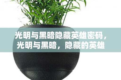 光明与黑暗隐藏英雄密码，光明与黑暗，隐藏的英雄