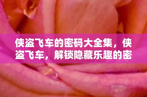 侠盗飞车的密码大全集，侠盗飞车，解锁隐藏乐趣的密码