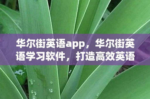 华尔街英语app，华尔街英语学习软件，打造高效英语学习新体验