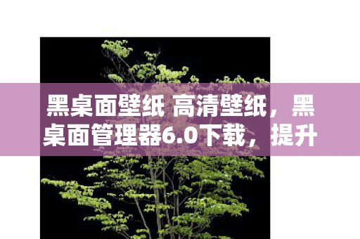 黑桌面壁纸 高清壁纸，黑桌面管理器6.0下载，提升工作效率的必备工具