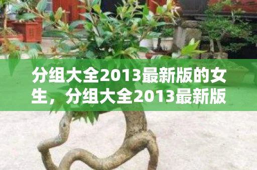 分组大全2013最新版的女生，分组大全2013最新版，解锁你的高效生活