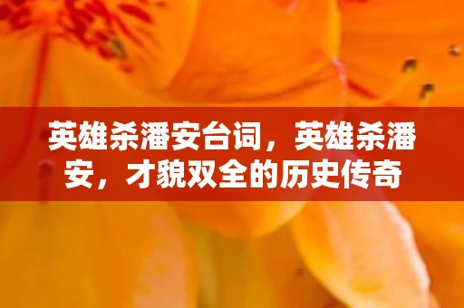 英雄杀潘安台词，英雄杀潘安，才貌双全的历史传奇