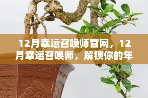 12月幸运召唤师官网，12月幸运召唤师，解锁你的年度幸运密码