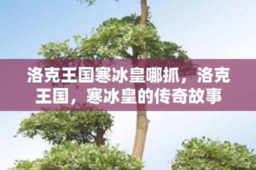 洛克王国寒冰皇哪抓，洛克王国，寒冰皇的传奇故事