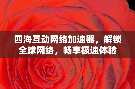 四海互动网络加速器，解锁全球网络，畅享极速体验