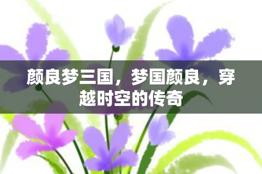 颜良梦三国，梦国颜良，穿越时空的传奇