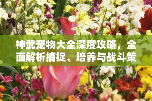 神武宠物大全深度攻略图片