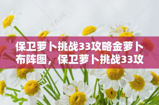 保卫萝卜挑战33攻略金萝卜布阵图，保卫萝卜挑战33攻略，轻松过关的秘诀