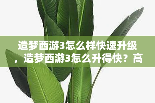 造梦西游3怎么样快速升级，造梦西游3怎么升得快？高效升级攻略分享