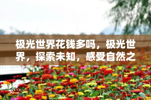 极光世界花钱多吗，极光世界，探索未知，感受自然之美