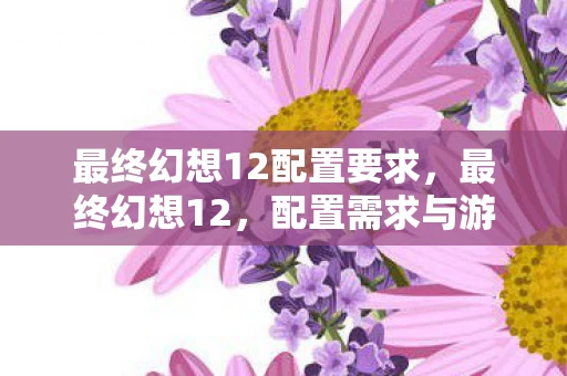 最终幻想12配置要求，最终幻想12，配置需求与游戏体验优化指南