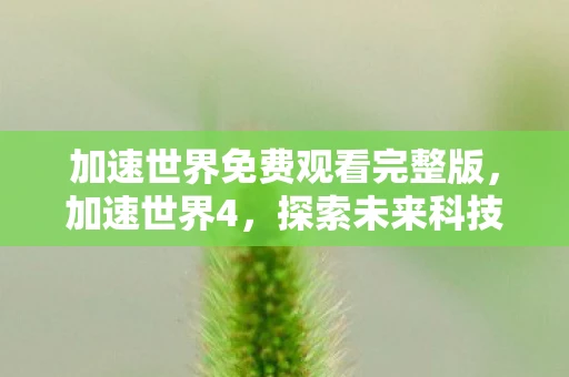 加速世界免费观看完整版，加速世界4，探索未来科技的无限可能