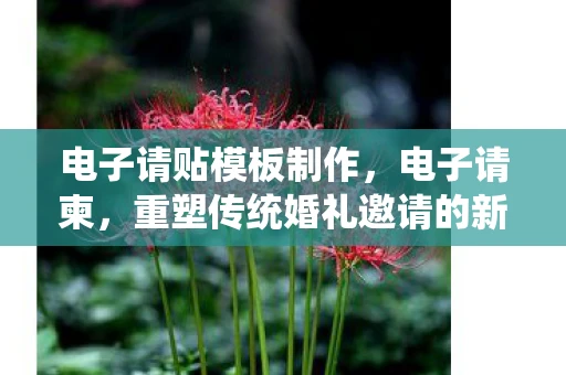 电子请贴模板制作，电子请柬，重塑传统婚礼邀请的新风尚