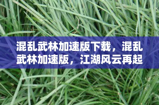 混乱武林加速版下载，混乱武林加速版，江湖风云再起，谁将主宰武林？