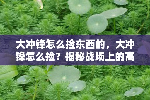 大冲锋怎么捡东西的，大冲锋怎么捡？揭秘战场上的高效拾取策略