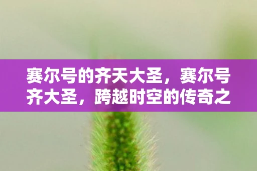 赛尔号的齐天大圣，赛尔号齐大圣，跨越时空的传奇之旅