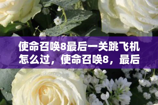 使命召唤8最后一关跳飞机怎么过，使命召唤8，最后一关的震撼与感动