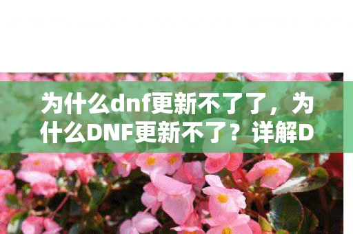为什么dnf更新不了了，为什么DNF更新不了？详解DNF更新问题及其解决方案