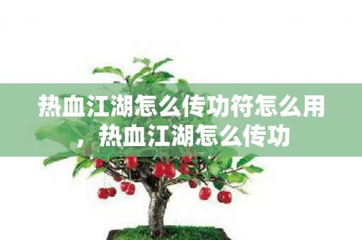 热血江湖怎么传功符怎么用，热血江湖怎么传功