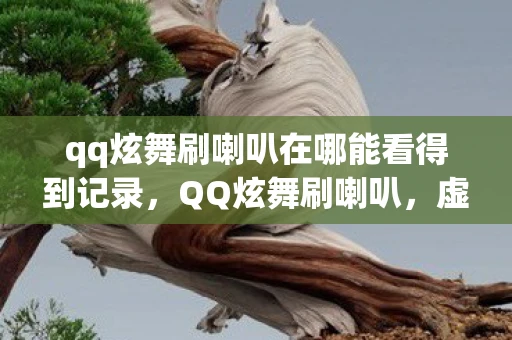 qq炫舞刷喇叭在哪能看得到记录，QQ炫舞刷喇叭，虚拟世界中的社交新潮流