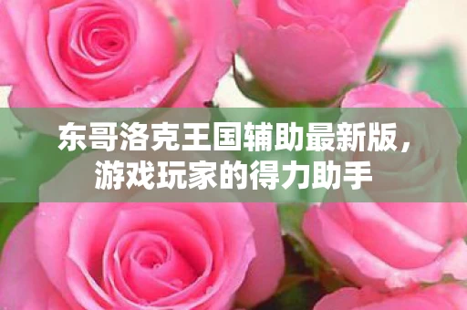 东哥洛克王国辅助最新版图片
