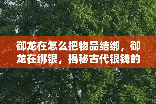 御龙在怎么把物品结绑，御龙在绑银，揭秘古代银钱的流通与绑定