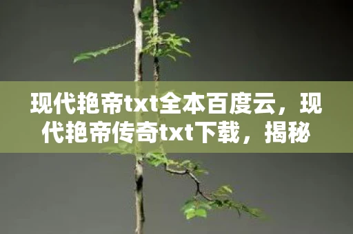现代艳帝txt全本百度云，现代艳帝传奇txt下载，揭秘一段不为人知的传奇故事