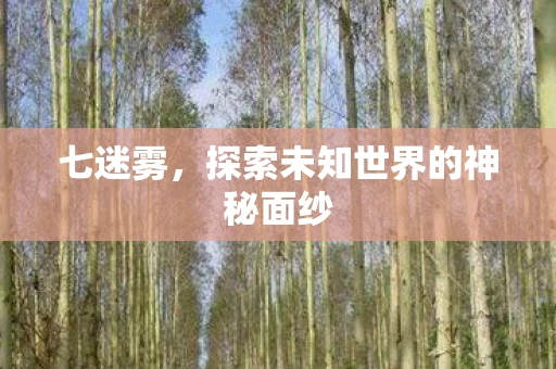 七迷雾，探索未知世界的神秘面纱