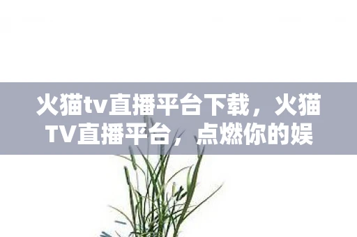 火猫tv直播平台下载，火猫TV直播平台，点燃你的娱乐激情