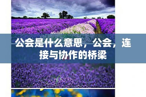 公会是什么意思，公会，连接与协作的桥梁