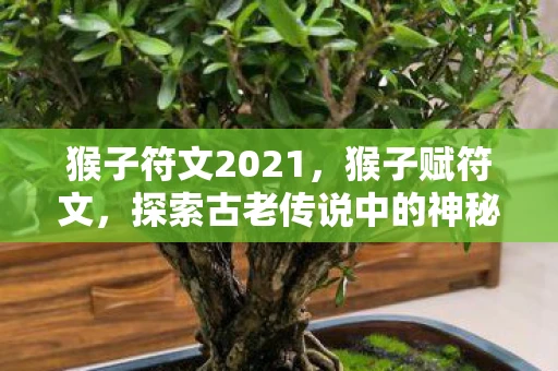 猴子符文2021，猴子赋符文，探索古老传说中的神秘符号