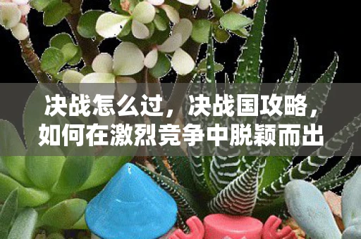 决战怎么过，决战国攻略，如何在激烈竞争中脱颖而出