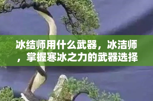 冰结师用什么武器，冰洁师，掌握寒冰之力的武器选择