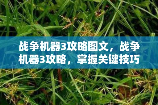 战争机器3攻略图文，战争机器3攻略，掌握关键技巧，助你轻松通关