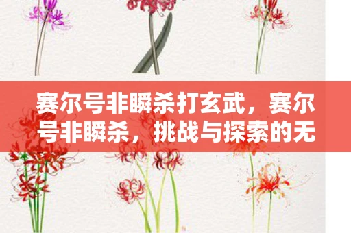 赛尔号非瞬杀打玄武，赛尔号非瞬杀，挑战与探索的无限可能