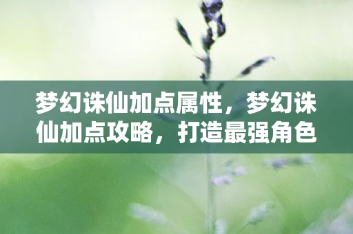 梦幻诛仙加点属性，梦幻诛仙加点攻略，打造最强角色，征服仙侠世界