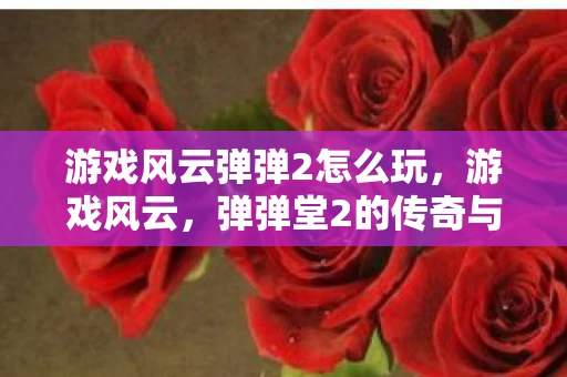 游戏风云弹弹2怎么玩，游戏风云，弹弹堂2的传奇与未来