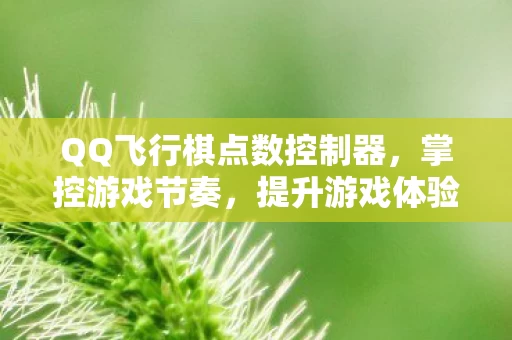 QQ飞行棋点数控制器图片