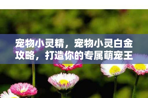 宠物小灵精，宠物小灵白金攻略，打造你的专属萌宠王国