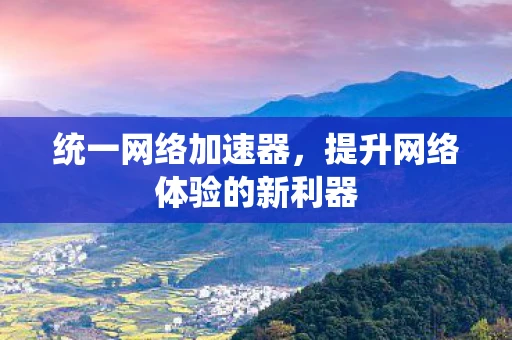 统一网络加速器，提升网络体验的新利器
