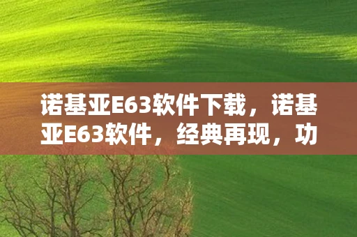 诺基亚E63软件下载，诺基亚E63软件，经典再现，功能升级